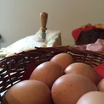 Panzió Dai Nonni Asti